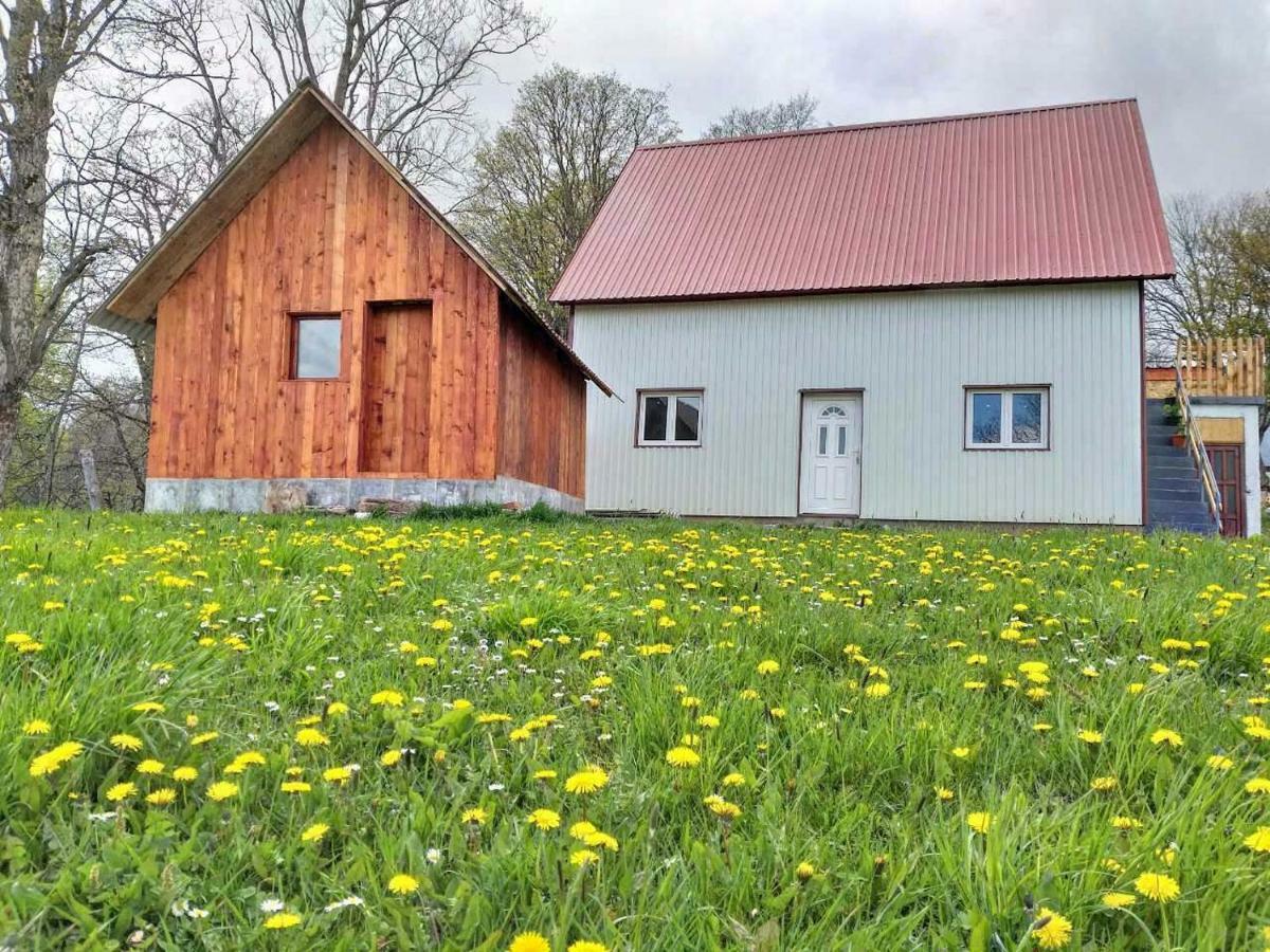 Domacinstvo Krstajic - Rural Holiday Žabljak Zewnętrze zdjęcie