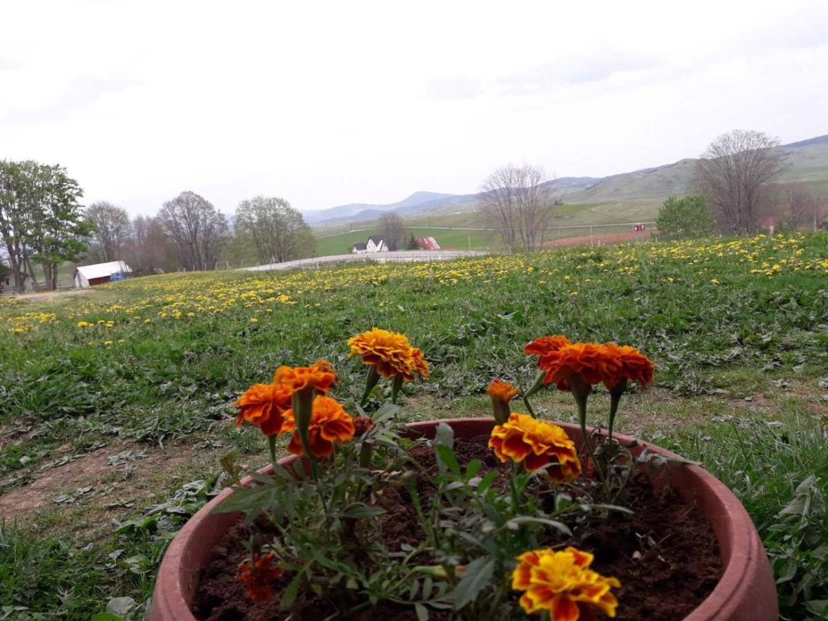 Domacinstvo Krstajic - Rural Holiday Žabljak Zewnętrze zdjęcie